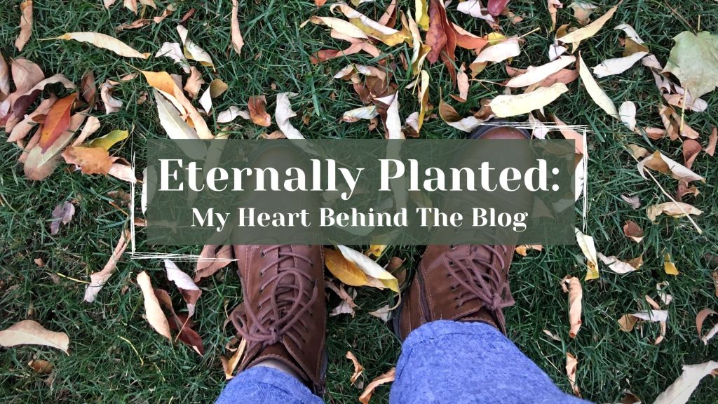 Eternally Planted: My Heart Behind The Blog